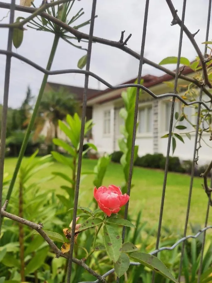 Pousada Borboleta Benedito Novo